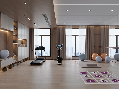 Modern Gym Home Gym 3d model