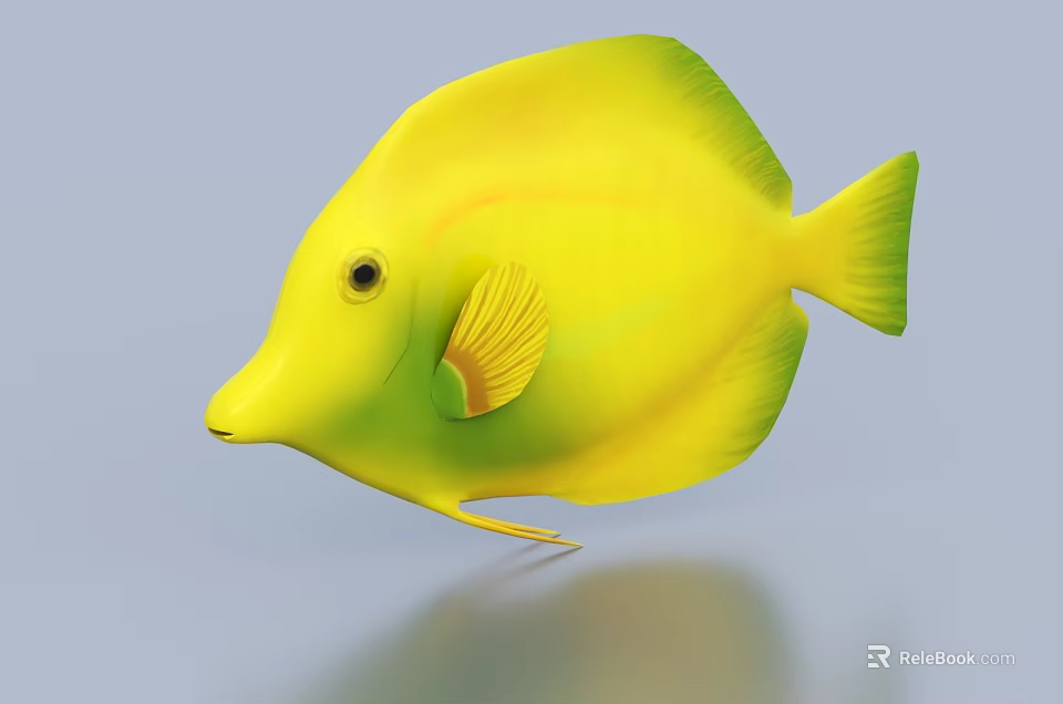 Bright Yellow Tropical Fish With Disc Shaped Body And Green Edges 3d model 
