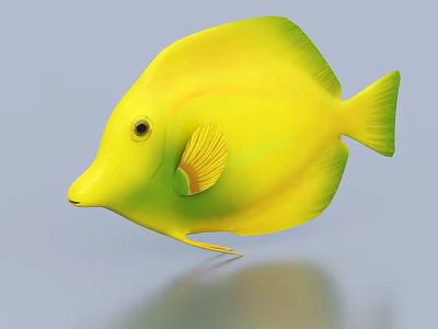 Bright Yellow Tropical Fish With Disc Shaped Body And Green Edges 3d model