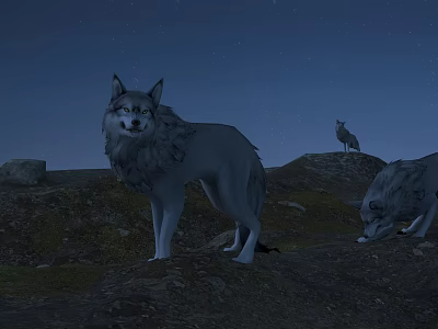 The Modern Wolf 3d model