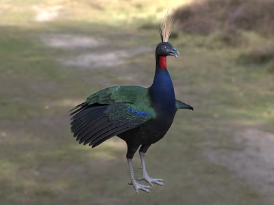 Vibrant Green Reptile With Blue Scales And Red Head Standing On Grassy Ground 3d model