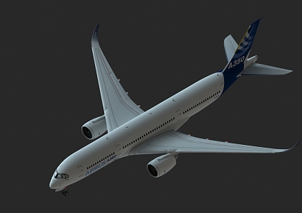 The A350 aircraft 3d model