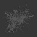 Crop Plant With Green Leafy Stems Seed Heads And 75 cm Height Measurement