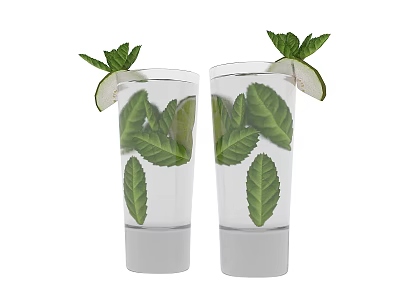 Refreshing Drinks in Glass Tumblers with Green Leaves and Lime Slices 3d model
