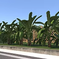 Municipal Road With Lush Green Plants Lawn Sidewalk And Landscaping