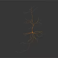 Neuron Structure Visualization Medical Device For Neural Research And Diagnosis 3d model