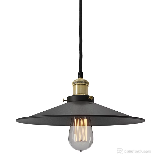 Black Shade Ceiling Light With Brass Accent And Edison Bulb 3d model 