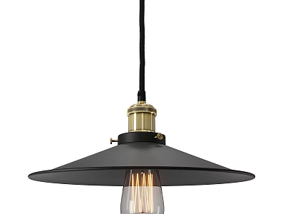 Black Shade Ceiling Light With Brass Accent And Edison Bulb 3d model