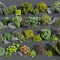 Diverse Collection of Colorful Flowers and Green Plants with Decorative Stones