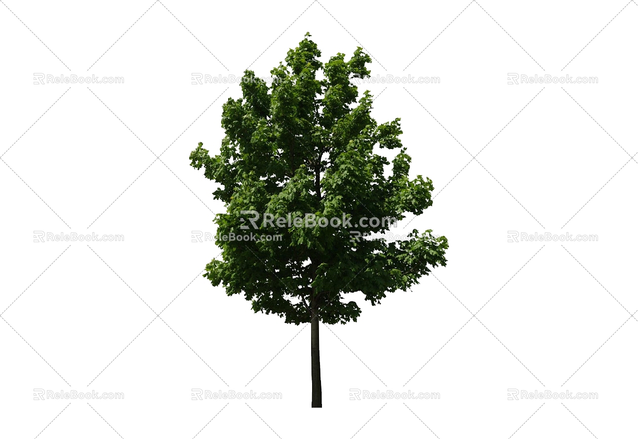 Tree 3d model