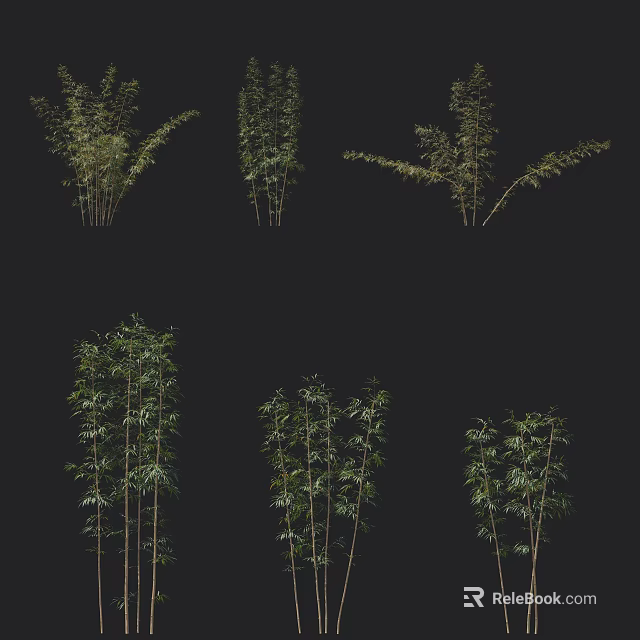 Various Bamboo Plants With Green Leaves And Tall Stems In Natural Setting 3d model 