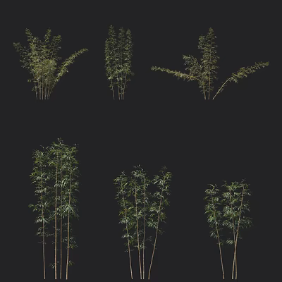 Various Bamboo Plants With Green Leaves And Tall Stems In Natural Setting 3d model
