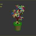 Green Succulent Plant In Terracotta Pot With Branched Stem And Smooth Surface