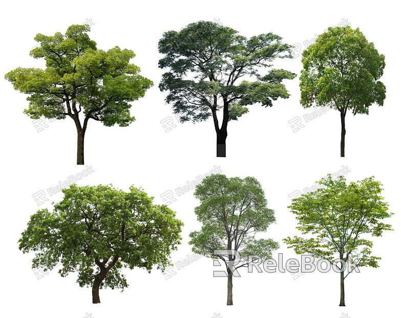 modern tree camphor tree landscape tree street tree ancient tree modeling tree big tree tree crooked neck tree model