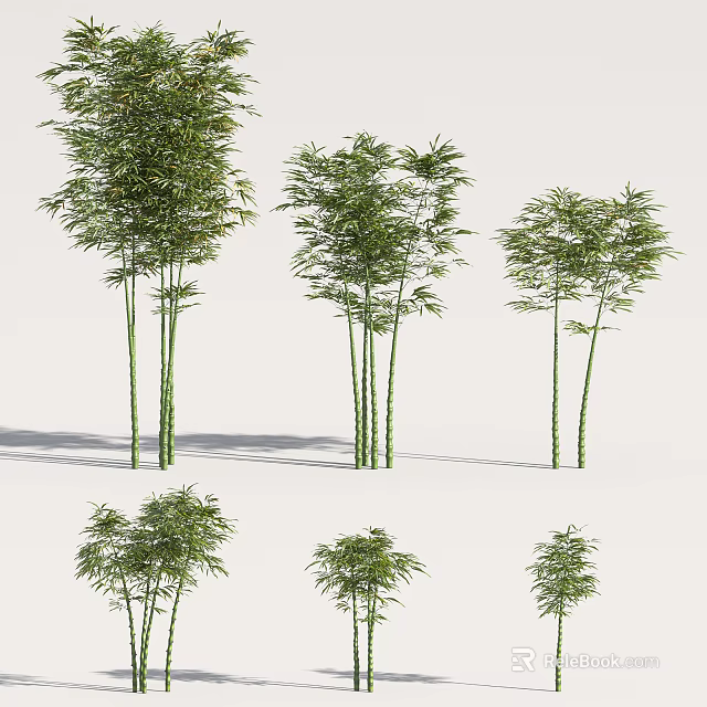 Various Bamboo Plants With Tall Slender Stems Lush Green Leaves And Different Sizes 3d model 