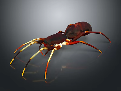 Detailed Reddish Brown Spider Featuring Yellow Striped Legs On Dark Background 3d model