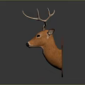 Realistic Deer Head Mount With Large Antlers And Orange Brown For Wall Decoration