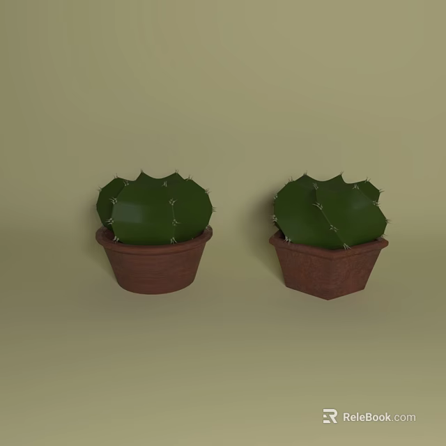 Pair of Green Spiky Cactus Plants in Brown Pots on Light Green Background 3d model 