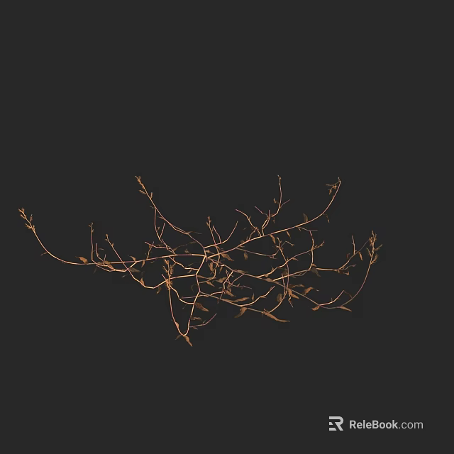 Delicate Dried Flower Branches With Tiny Buds On Dark Black Background 3d model