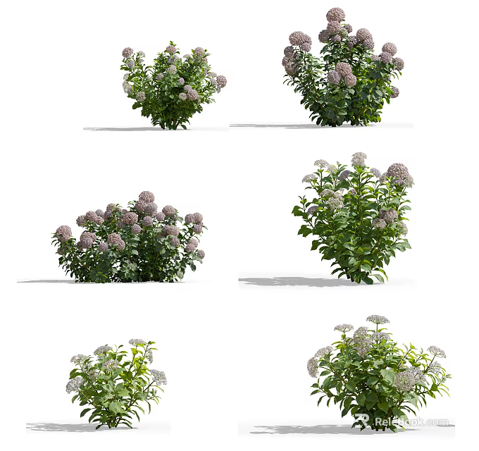 Vibrant Purple Flower Bushes With Green Leaves For Garden Landscaping 3d model 