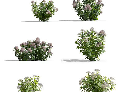 Vibrant Purple Flower Bushes With Green Leaves For Garden Landscaping 3d model