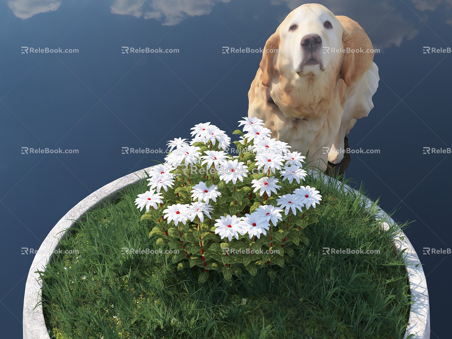 chrysanthemum cosmos chrysanthemum flowers flowers plants green plants potted landscape park greening city landscape animal dog golden retriever sky 3d model