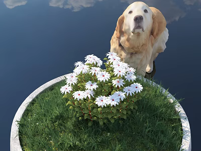 White Flowers And Green Grass In Round Flower Bed With Golden Retriever By Water 3d model