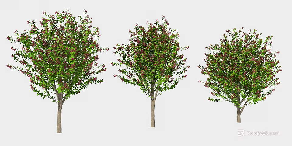 Three Ornamental Trees with Green and Red Foliage and Brown Trunks 3d model 
