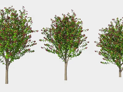 Three Ornamental Trees with Green and Red Foliage and Brown Trunks 3d model