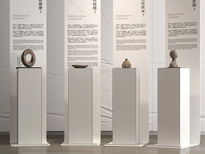Art Exhibition Display With White Pedestals And Artifacts On Background Panels 3d model