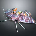 Colorful Flying Insect Moth with Purple Orange Wings and Intricate Patterns on Dark Background