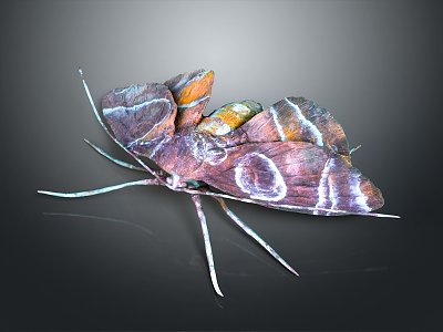 Modern Moth Animal Anime Character 3d model