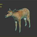 Realistic 3D Animal Model With Orange Fur White Stripes Standing On Reflective Surface
