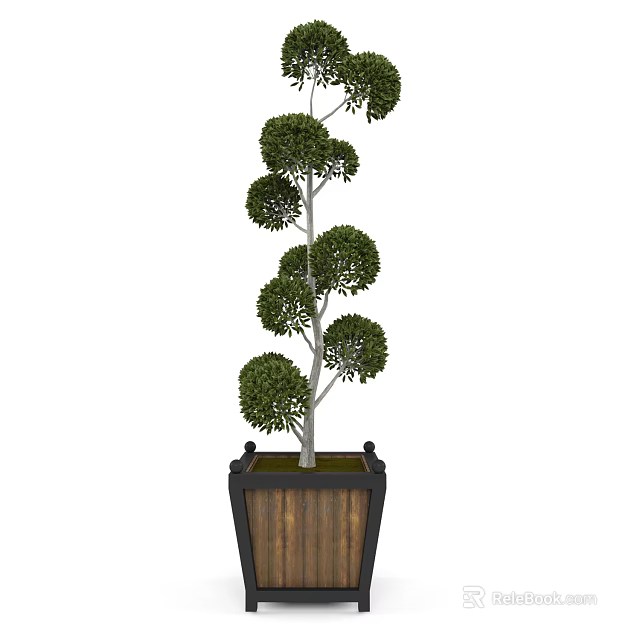 Tall Bonsai Tree With Layered Rounded Canopies In Square Wooden Planter 3d model 