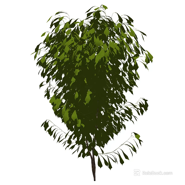 Vibrant Green Shrub With Lush Foliage Perfect For Garden Landscaping Design 3d model 