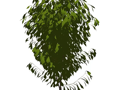 Vibrant Green Shrub With Lush Foliage Perfect For Garden Landscaping Design 3d model