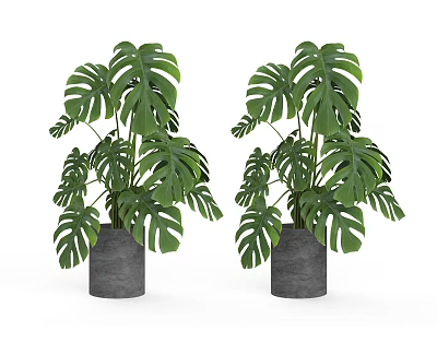 Modern Potted Plant 3d model Modern Potted Plant 3d model