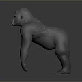 Realistic 3D Gorilla Model With Muscular Body And Standing Pose 3d model