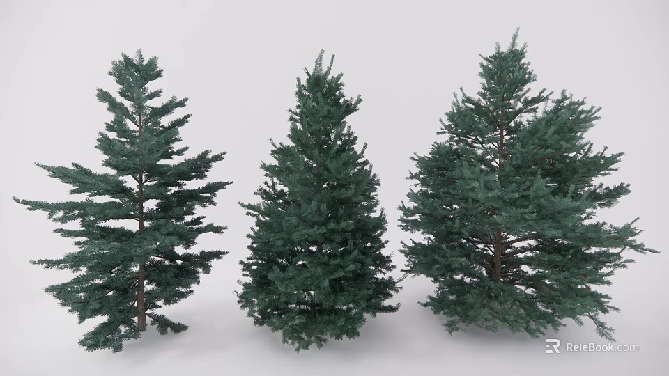 Three Different Evergreen Trees With Lush Foliage And Distinct Canopy Shapes For Landscaping 3d model 