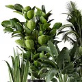 Assorted Potted Green Plants With Stylish Decorative Pots In Black White And Woven Designs
