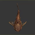Orange Spotted Fish with Large Head and Unique Fins on Dark Background with Reflective Surface