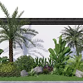 Tropical Garden Landscape with Palm Trees Banana Leaves Green Plants and Stones Against White Wall