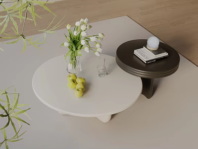 Modern Sofa Coffee Table Set With White Round Table Dark Wooden Accent And Green Plants 3d model