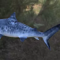Lifelike Shark Aquatic Animal With Detailed Blue And White Striped Body And Sharp Fins