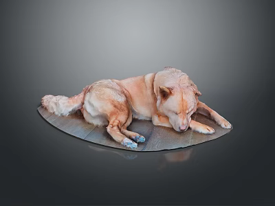 Light Brown Dog Lying Relaxed on Shiny Silver Disc Against Dark Background 3d model