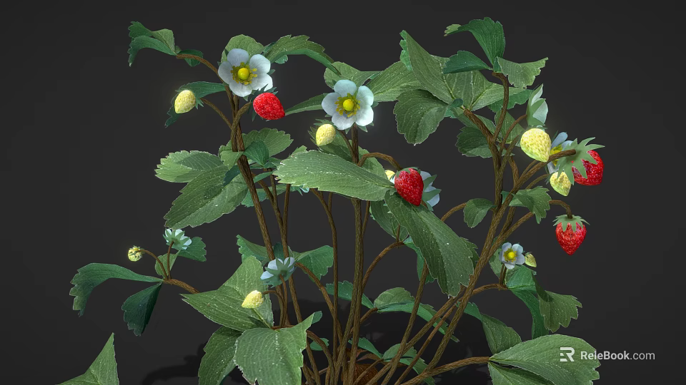 Fresh Strawberry Plant with Green Leaves White Flowers Red and Yellow Ripe Fruits 3d model 