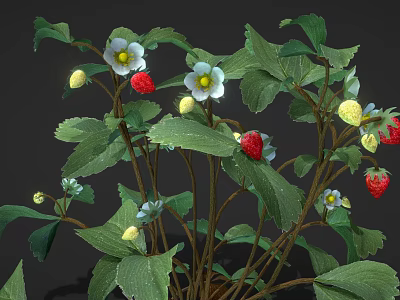 Fresh Strawberry Plant with Green Leaves White Flowers Red and Yellow Ripe Fruits 3d model