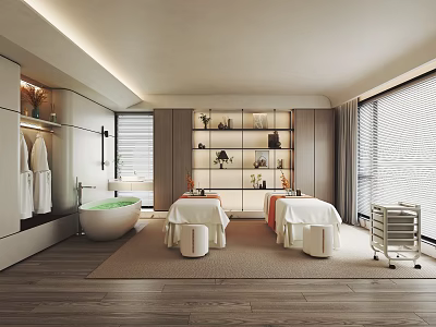 Modern SPA Interior With Massage Beds Bathtub And Storage Shelves 3d model