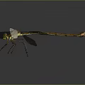 Close Up View Of Dragonfly With Transparent Wings Green Eyes And Orange Body