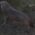 Reptile With Brown Skin In Natural Habitat Displaying Open Mouth And Wildlife Traits
